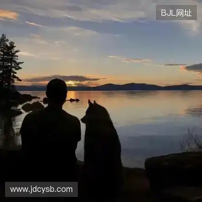 骆铖柳